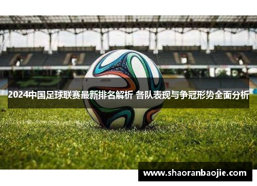 2024中国足球联赛最新排名解析 各队表现与争冠形势全面分析
