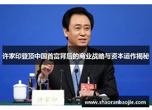 许家印登顶中国首富背后的商业战略与资本运作揭秘